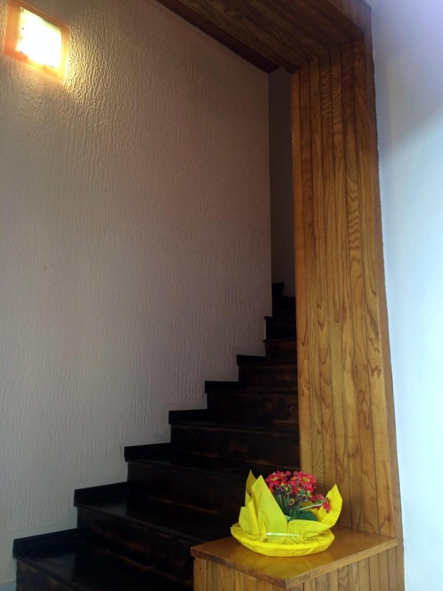 Apartments Neno Umag Dış mekan fotoğraf